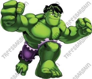 Super Hero Squad Shirt Iron On Transfer #2 ♥ Hulk
