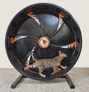 Cat Exercise Wheel for Bengal, Savannah, Active, Obese, Overweight 