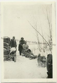   Photo Alaskan Husky Dog Pulling Couple in Sled Next to Car Photo 39