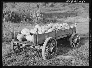 Melons for sale from farm wagon. Mohawk Trail,Massachu​setts
