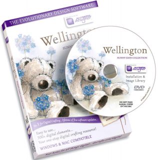   Wellington bear sunny days collection CD Rom. Digital designer DVD