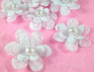 Victorian Lace w/ Pearl Flower Appliques x40 ~ Bridal/Wedding​/Trim