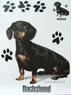 Black Dachshund Dog Image Womens New Colors T Shirt Sizes M L XL 2XL 