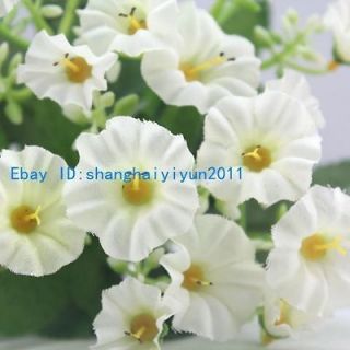   Silk Roses Buds Wedding Bouquet Artificial Flowers (White & Beige) F50