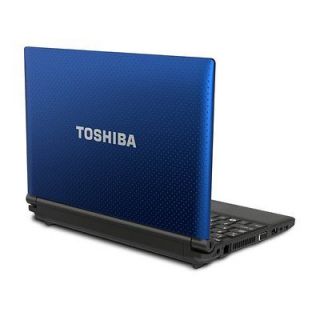   Mini NB505 N508BL 10.1 (250 GB, Intel Atom, 1.66 GHz, 1 GB) Netbook