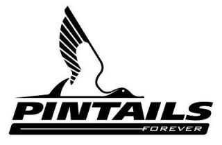 PINTAIL DUCK DECAL for boat, decoy, windows etc.