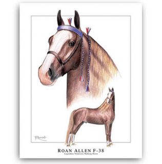   WALKER walking HORSE ART   ROAN ALLEN famous TWH stallion portrait WOW