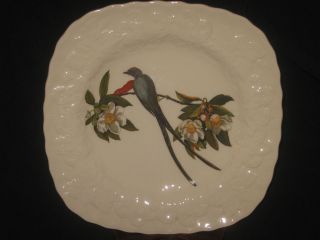 Vntg Alfred Meakin Square Plate Fork Tail Flycatcher Bird England 