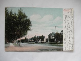 WESTFIELD NJ BOULEVARD 1906 RESIDENTIAL AREA POSTCARD
