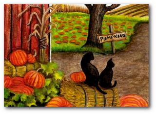 Black Cat Kitten Autumn Antics Barn Pumpkins For Sale #34   BiHrLe LE 