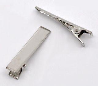 barrette clip in Clothing, 