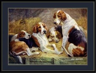 English Print Fox Hound Dogs Art Picture