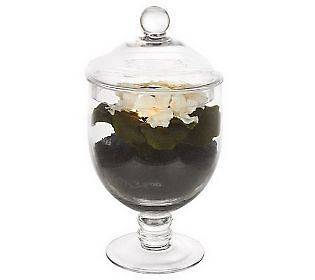 Bethlehem Lights Battery Operated 11 Apothecary Jar with Violet and 