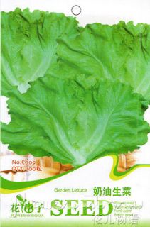 Lettuce Seed ★ 100 Creamy Butter Vegetables Seed Tasty Refreshing 