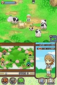 Harvest Moon The Tale of Two Towns Nintendo DS, 2011