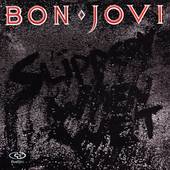 Slippery When Wet DualDisc by Bon Jovi CD, Feb 1999, Island Label 