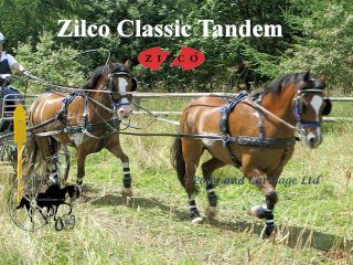 Zilco Black Tandem Classic Carriage Driving Horse Harness Std Collar 