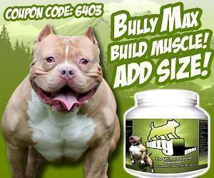 AWESOME   ONE CASE OF BULLYMAX 12 BOTTLE BULLY MAX PITBULL ANY BREED