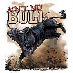 Funny Aint No Bull Riding Rider Rodeo T Shirt S  6x