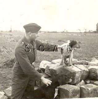   RP  Luftwaffe Soldier  Overseas Hat  All Wet  Mixed Breed  Dog  40s