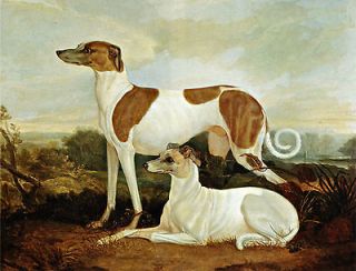 Charles Hancock, 1800s Painting, GREYHOUND DOGS, Art, 16x12 Print 