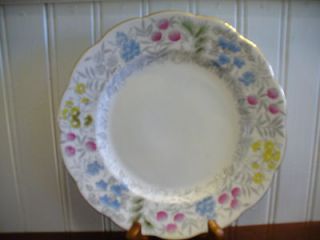 Roslyn England Bone China Hand Colored Spring Parade Buffet Plate