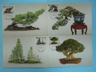 bonsai chinese potted plants 1990 set of 4 maximum card Taiwan / China