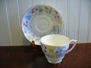 Roslyn England Bone China Hand Colored Spring Parade Cup and Saucer