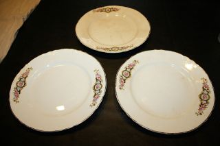 Clinchfield China S.P.I. 9 1/4 Dinner Plates from 1920s   only 
