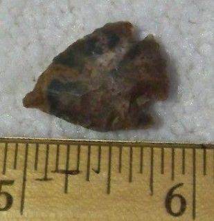 Colorado Pre1600 Indian Artifact Relic Rabbit Arrowhead