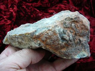 PP242 77) Fossil REAL DINOSAUR POOP Coprolite Dino Valley Utah DUNG 
