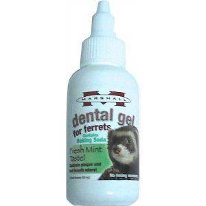 MARSHALL PET FERRET DENTAL GEL 2 OZ CLEAN DEODORIZE REMOVE TARTER FREE 