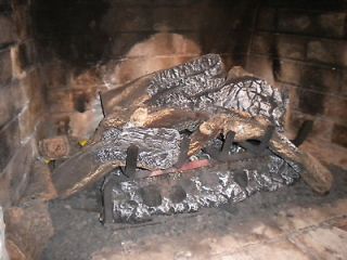Gas Fireplace Insert   Vented Gas Log Heater
