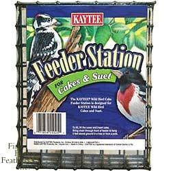 Kaytee Products Wild Bird Hanging Seed Cake & Suet Fee