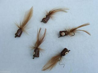 Famous Pattern Bass Poppers  5 pack  Brown/White Eye