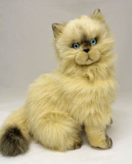 Himalayan cat stuffed animal soft plush toy Tofee NEW
