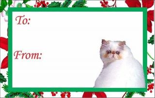 12 Himalayan Kitten or Cat Christmas Gift Tags