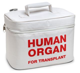   Organ Transport Lunch Cooler