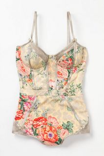Corsetiere Maillot   Anthropologie