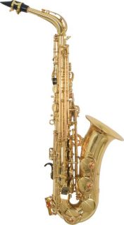 Amati 33 Series Student Alto Saxophone  Musicians Friend