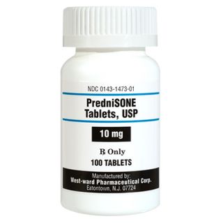 Prednisone for Dogs and Cats   Itchy Skin Treatment   1800PetMeds