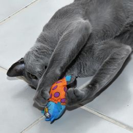 Click on links below to see Fat Cat Catnip Toy & Catnip Pods: