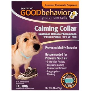 Calming Collar for Dogs   Reduces Stress & Anxiety   1800PetMeds