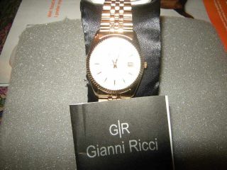 LOVELY GOLD PLATED MENS GIANNI RICCI WATCH IDEAL FOR THE MAN IN YOUR 