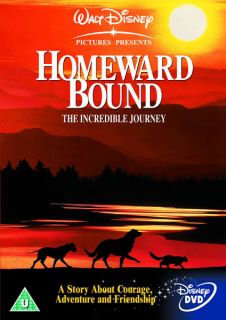 Homeward Bound   The Incredible Journey DVD  TheHut 