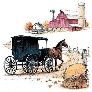 HORSE & BUGGY   AMISH   SO PRETTY  T Shirt   Sizes S   4X (Mens Sizes 