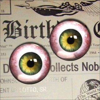   Eyeballs 1 Inch Glass Taxidermy Horror Halloween Craft Eyes 528 2 25