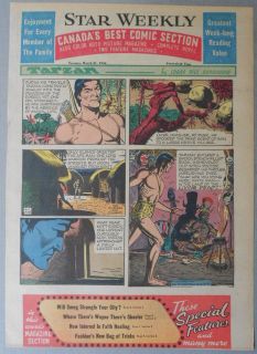 Tarzan Sunday by John Celardo from 4/1/1956. Tabloid Size Page 