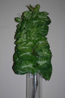 Artificial Syngonium Leaf    Flower Arranging / Displays etc