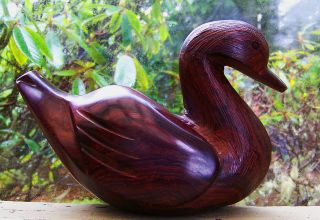 Newly listed Wood Duck Sculpture Carving Arizona Mojave Ironwood 